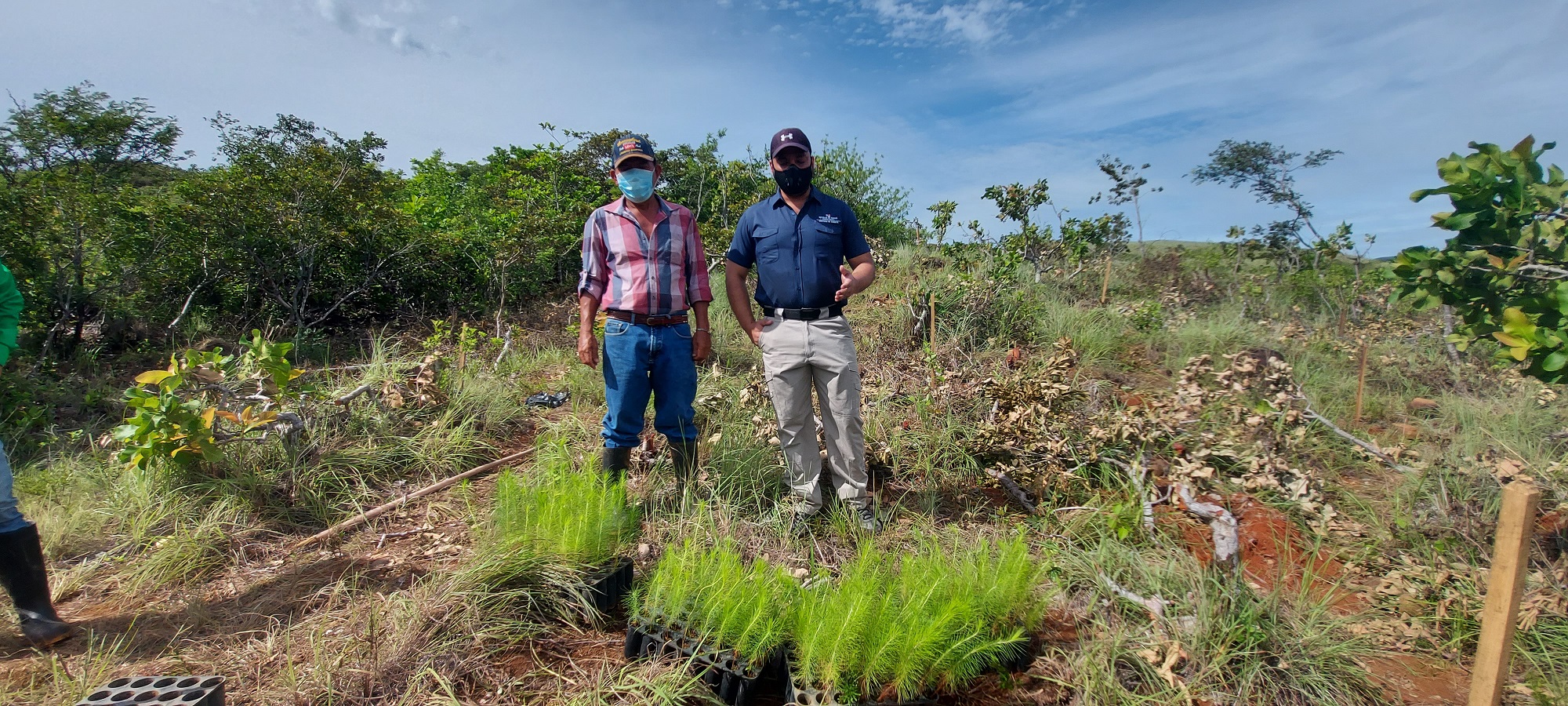 Miambiente realiza jornada de reforestación en la comunidad de Las