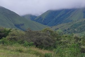 Iniciará misión de búsqueda de tripulación estadounidense en el Parque Nacional Santa Fe.