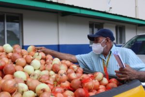 Decomisan cebolla vencida en Santiago.