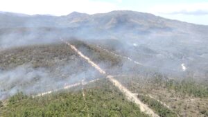 Incendio afecta más de 200 hectáreas de bosquez en la Reserva Forestal La Yeguada.