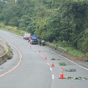 Conductor pierde la vida tras un choque con un árbol en Veraguas